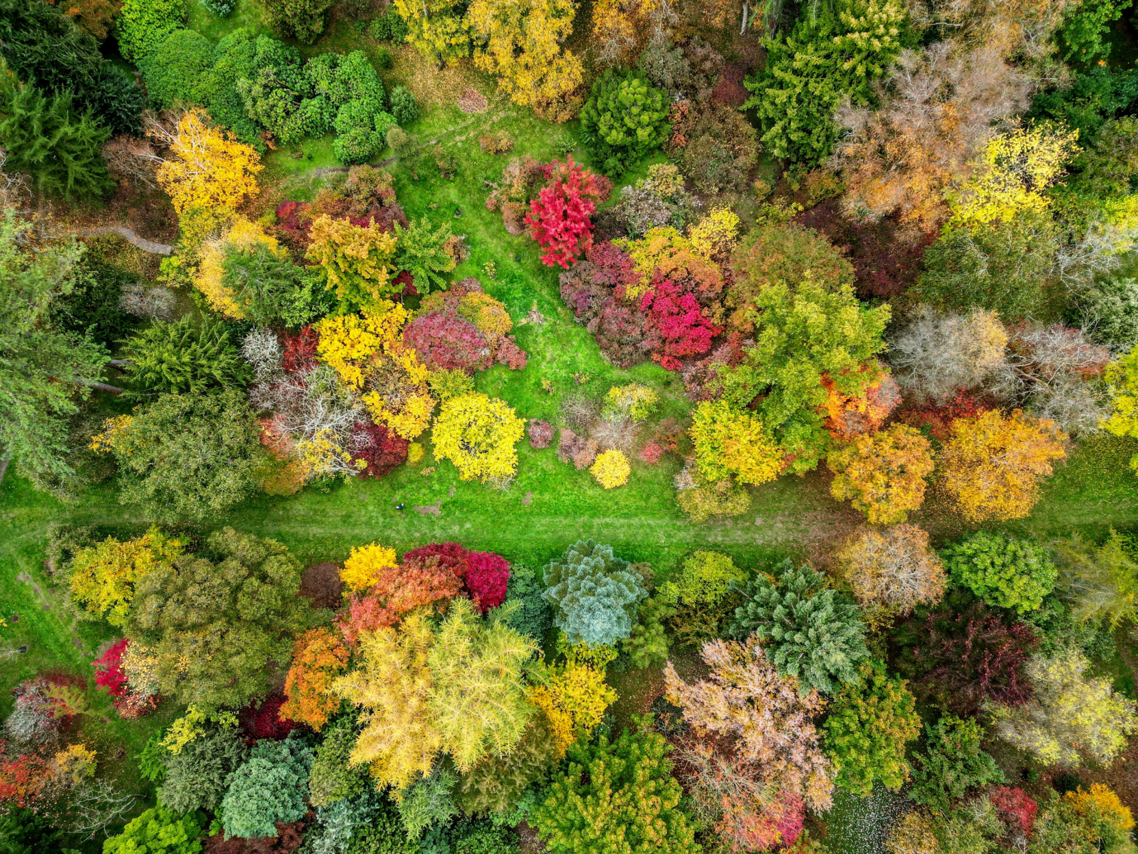 Gardens explode with stunning autumnal colors after long, hot summer